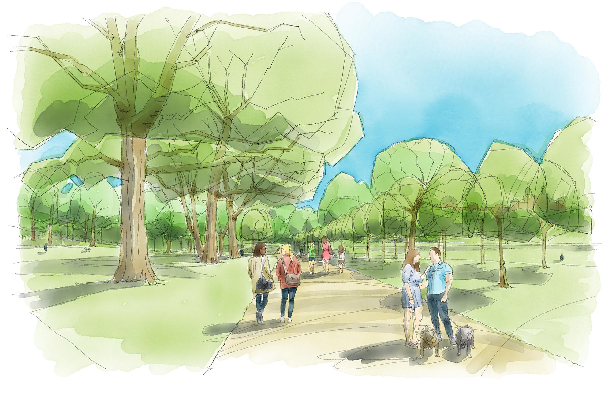 Artist's impression of restored tree avenue