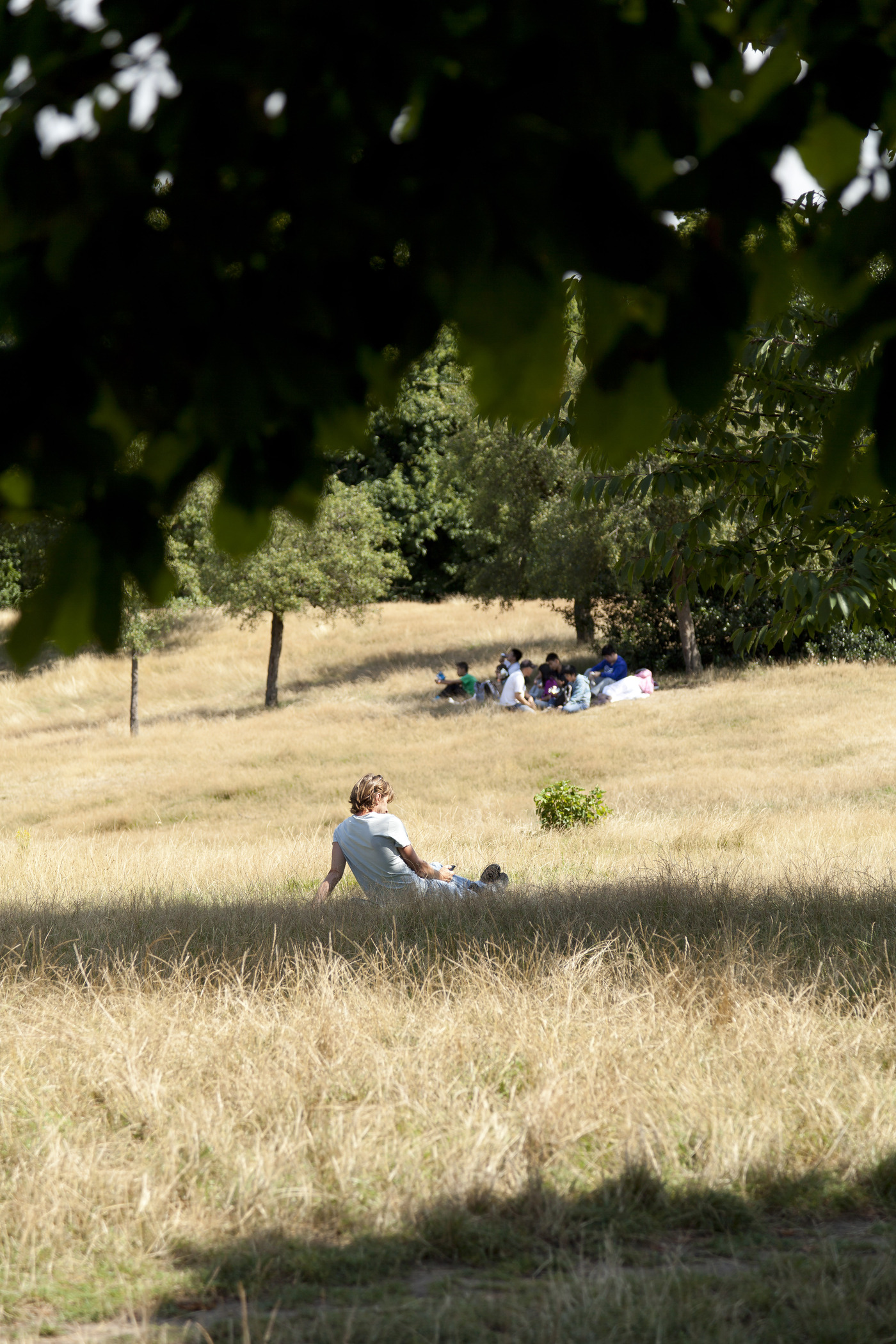 Flourishing grassland habitats