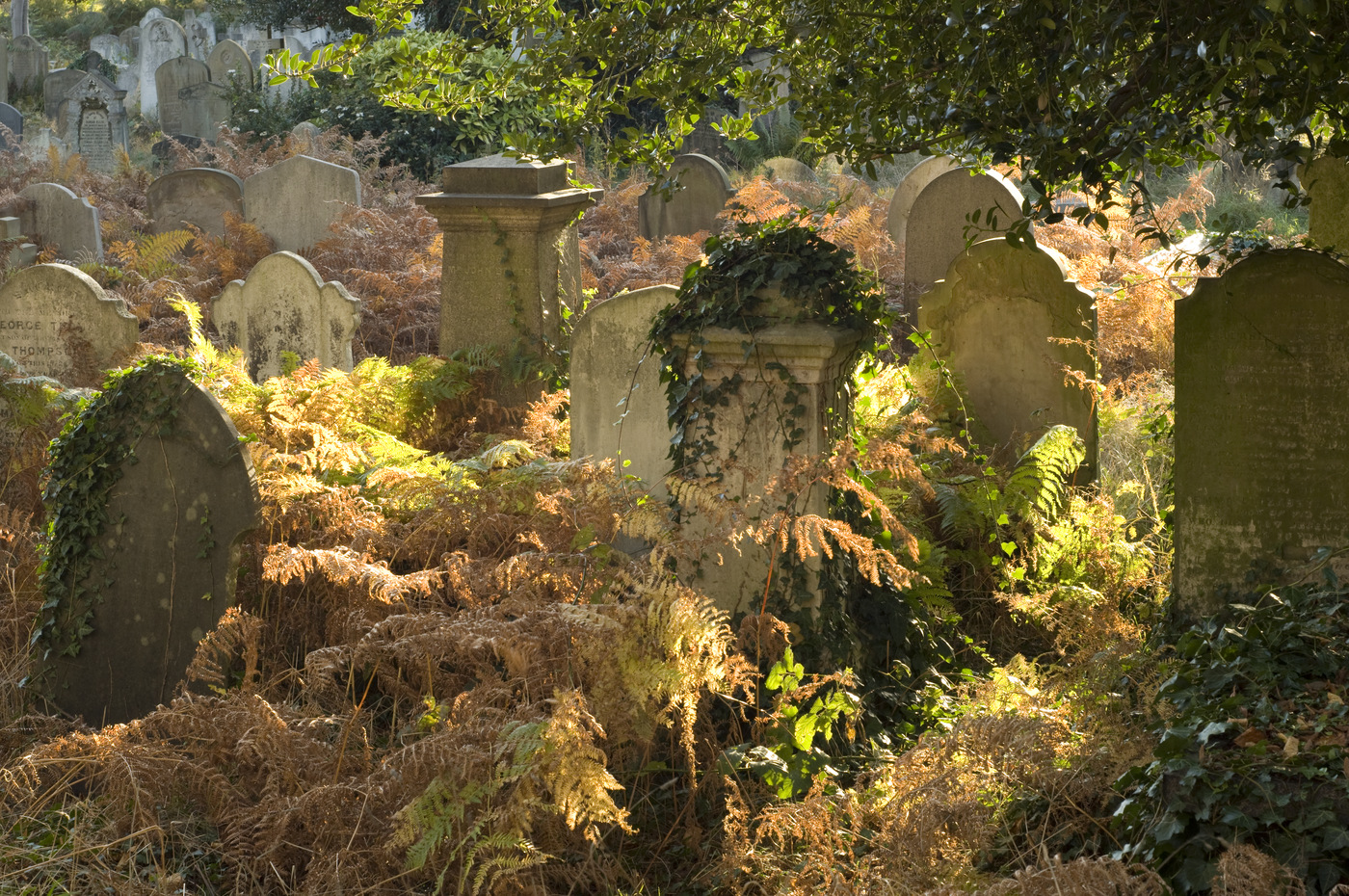 Graves in bracken in eastern burial zone