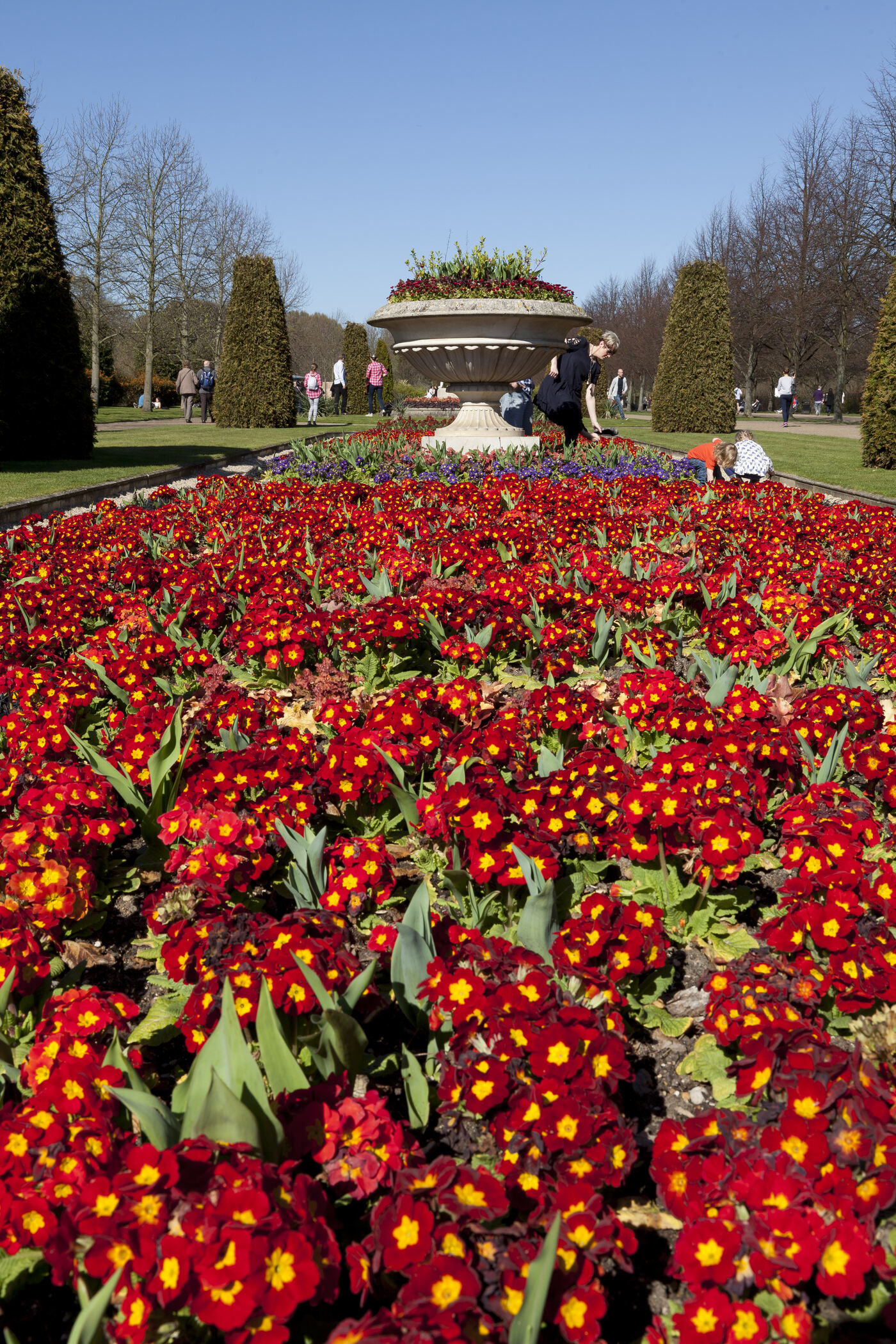 The Avenue gardens