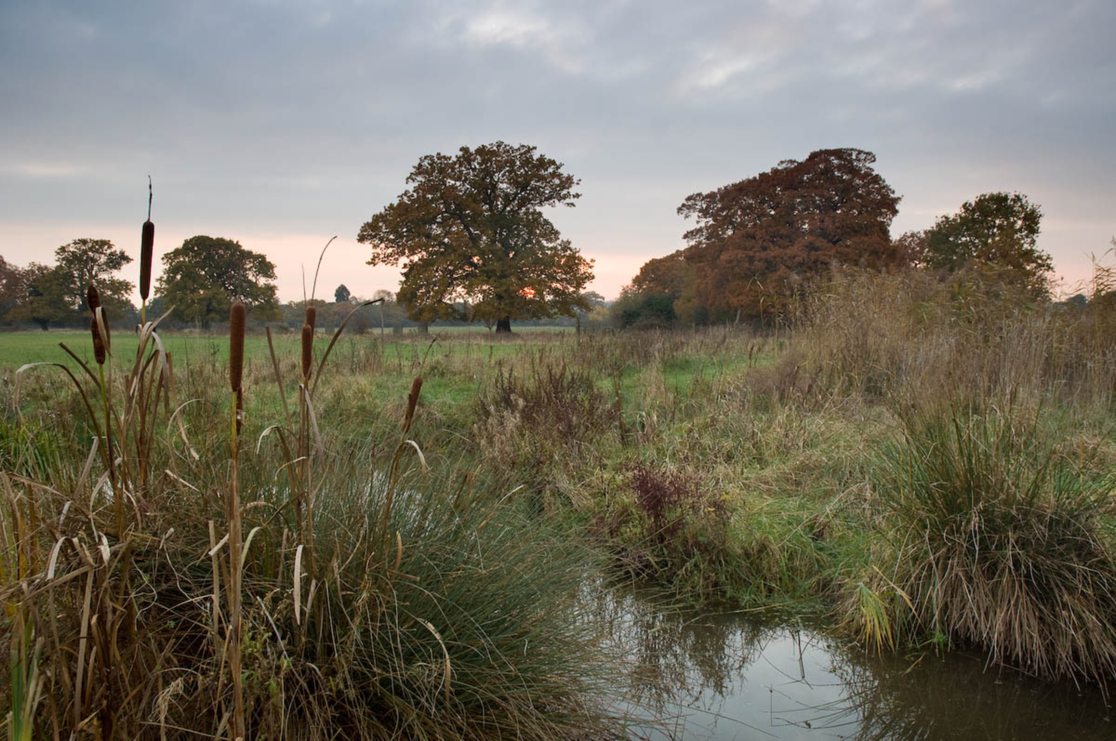 Brewhouse meadows