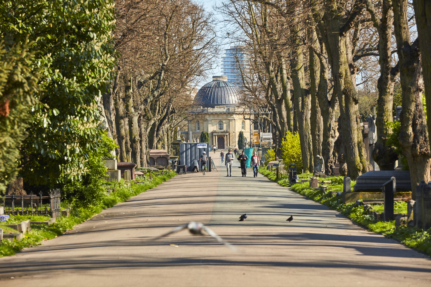 Brompton Cemetery Central Avenue