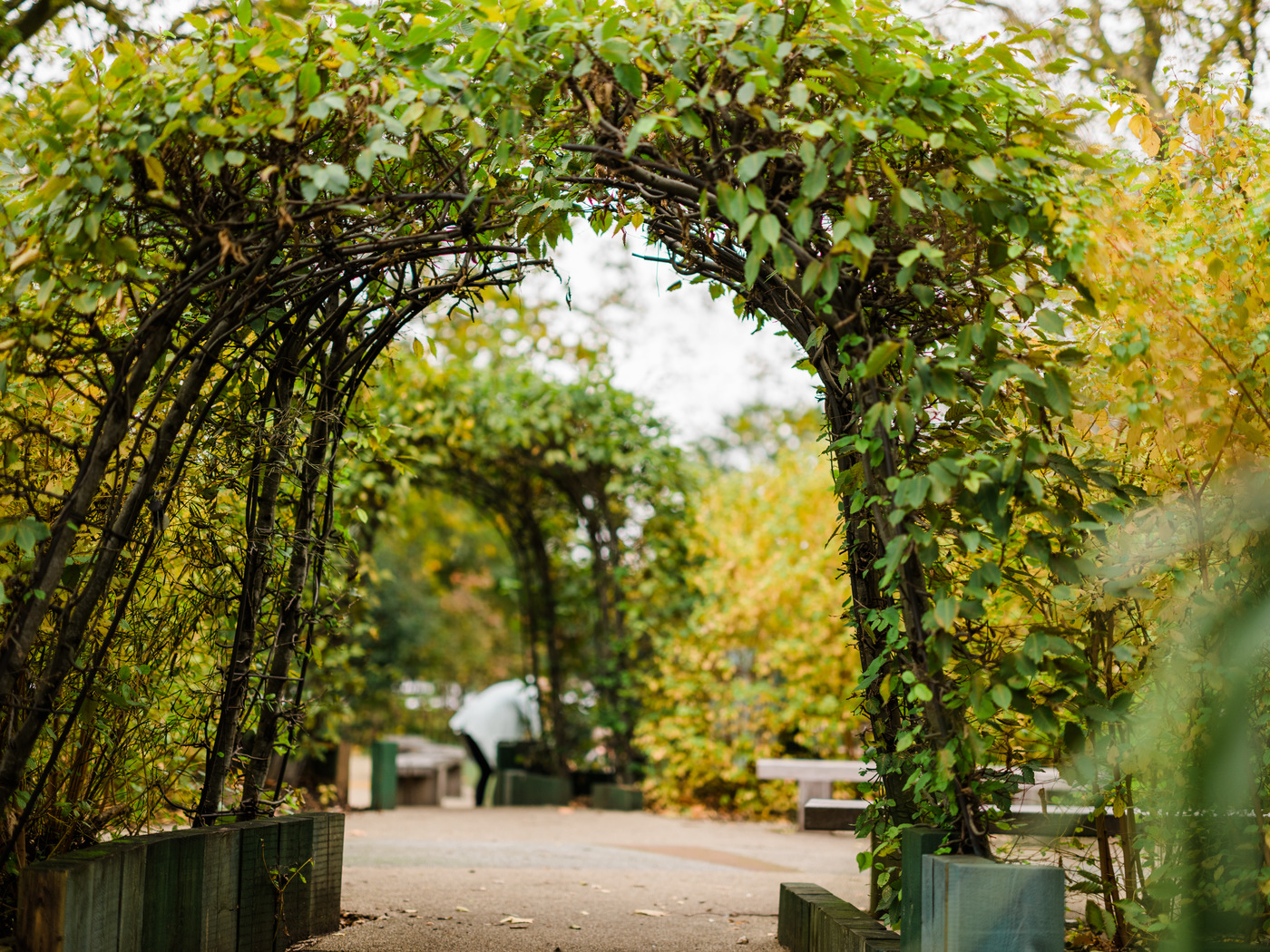An arbor