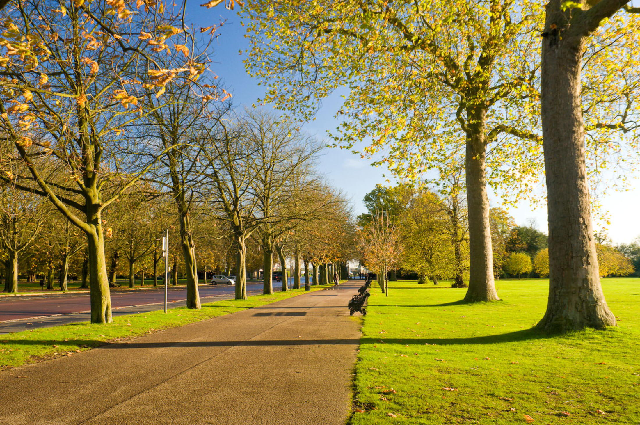 Blackheath Avenue