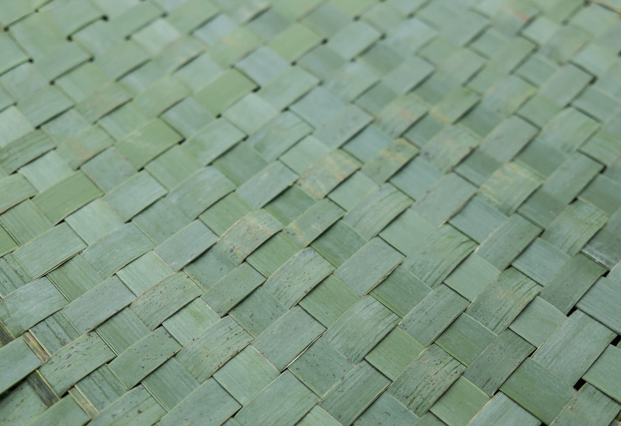 New Zealand flax (Harakeke) woven into fabric