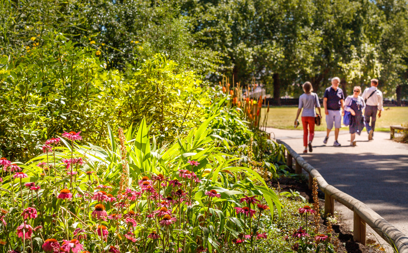 Flowers in Victoria Tower Gardens