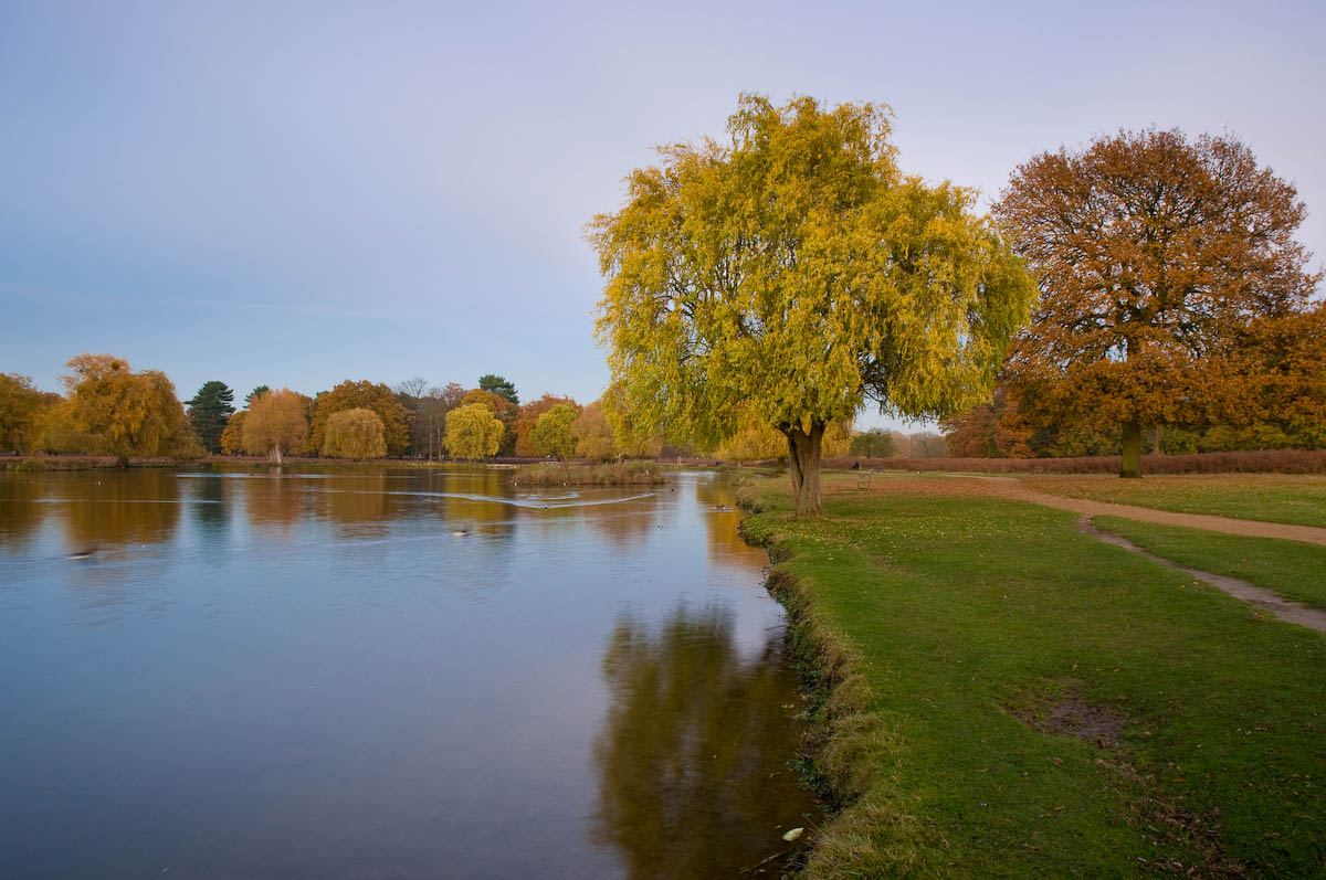 Heron Pond