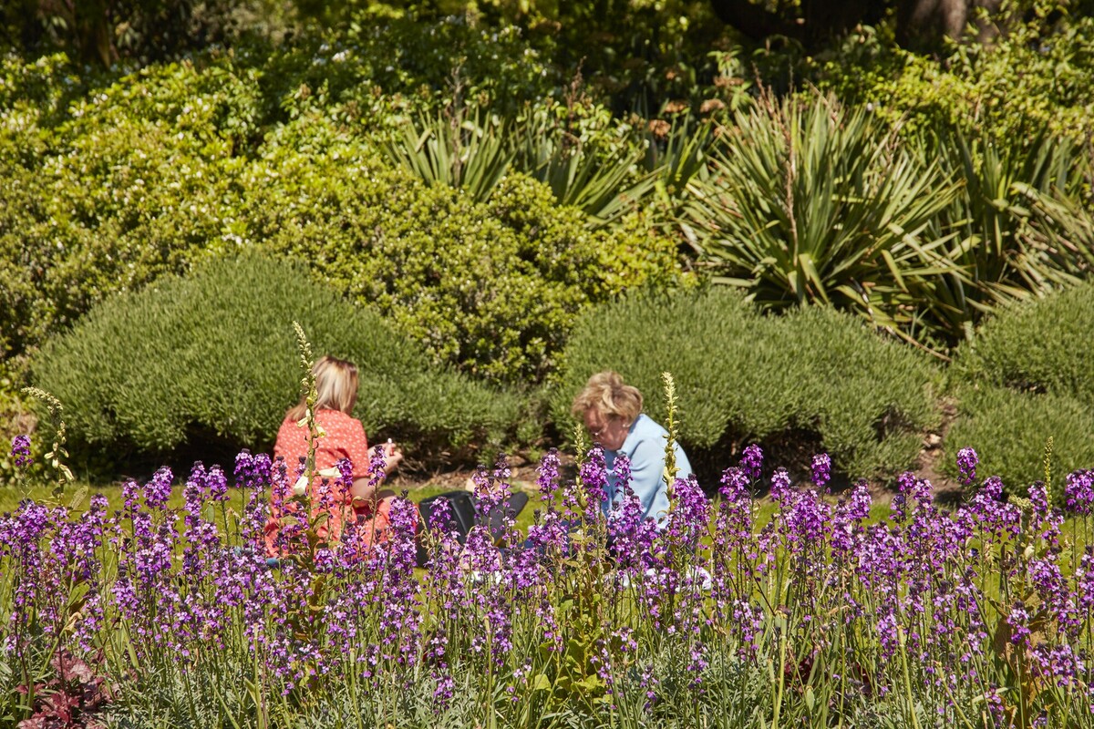 Two people sitting in the Hyde Park Rose Garden