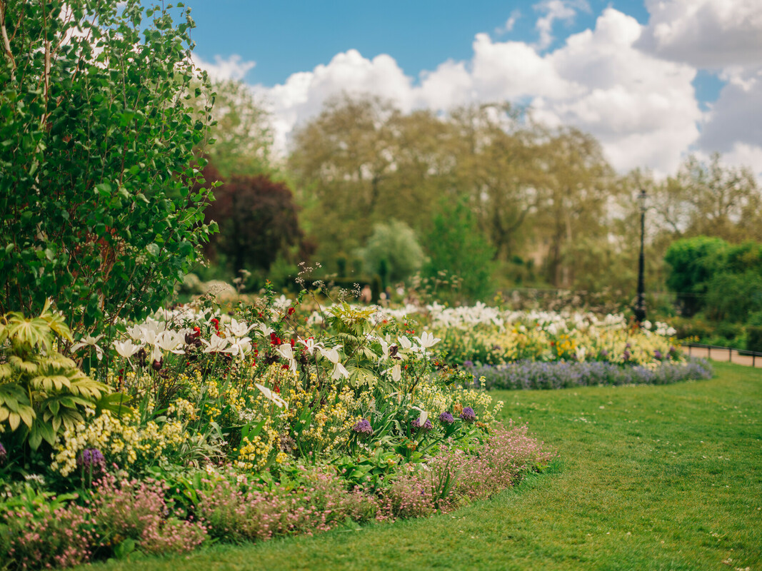 Hyde Park Rose Garden in summer