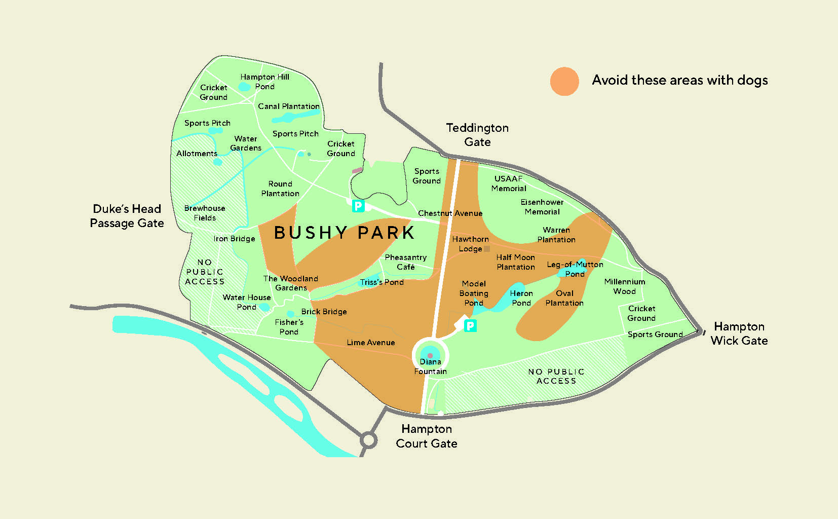 Map of areas to avoid in Bushy Park with a dog during the deer birthing season