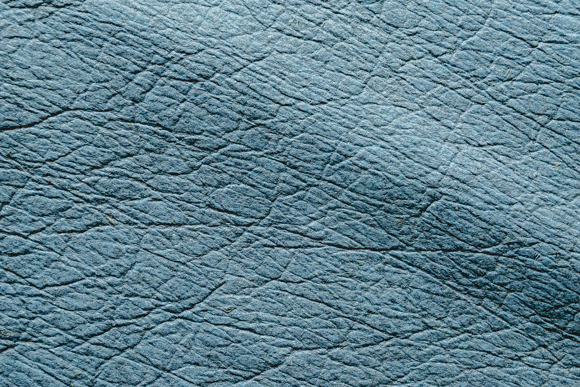 Pineapple fabric, known as vegan leather