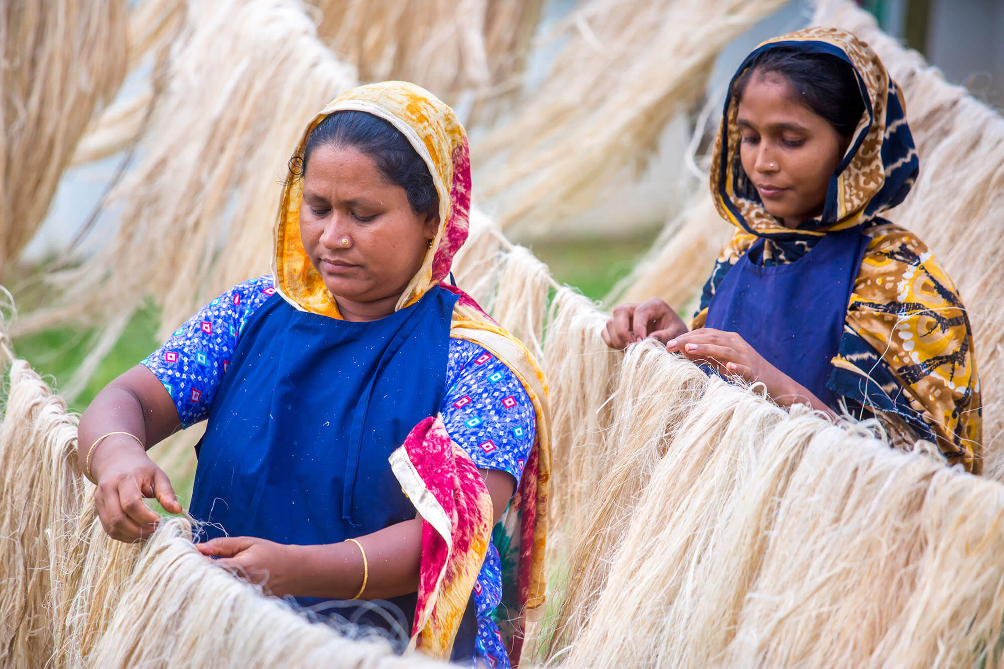 Women hanging pineapple fibres to dry