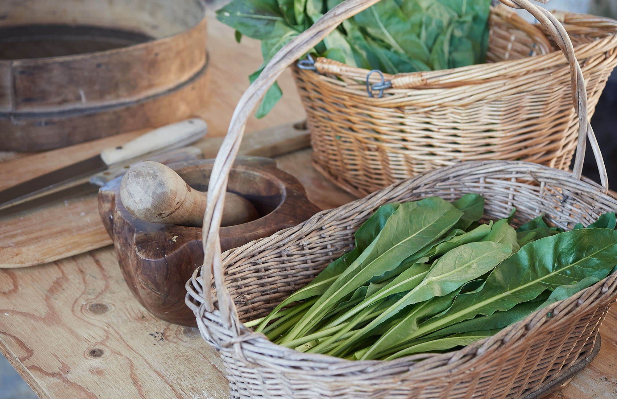 Woad leaves in a basket