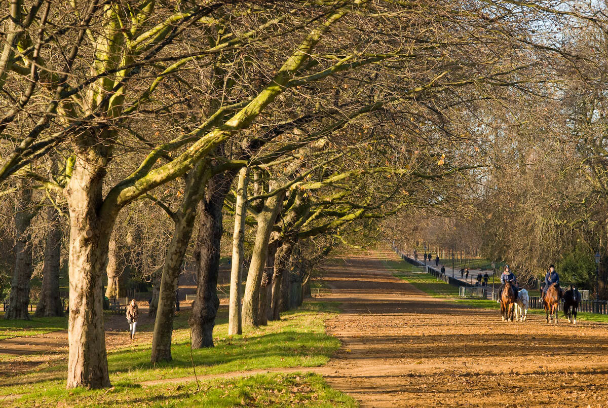 Horse riders on Rotten Row