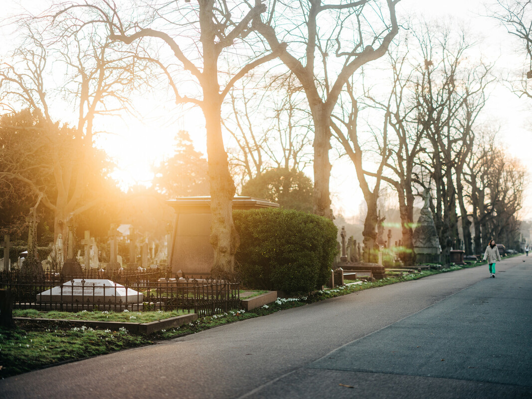 Early morning in Brompton Cemetery