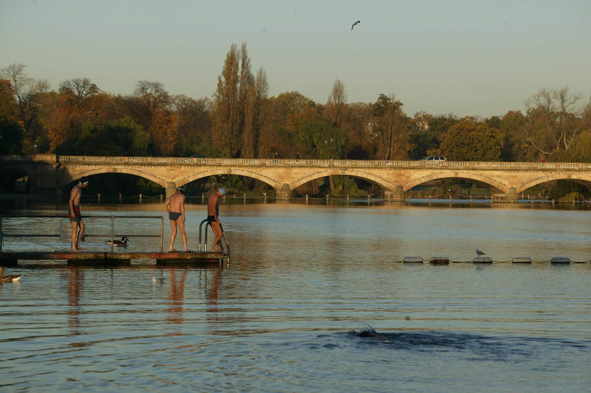 Serpentine Lido Swimmers