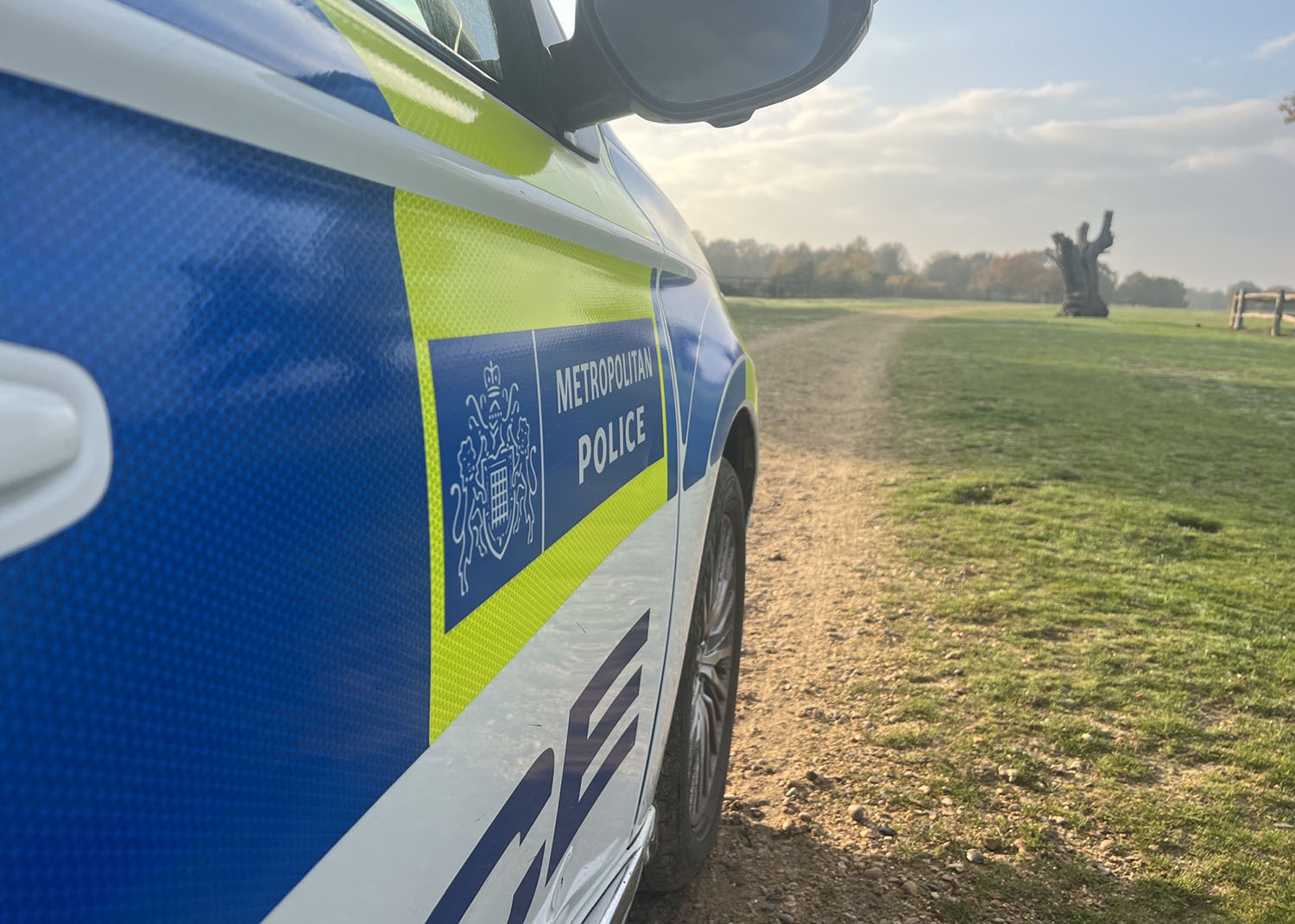 Markings on the side of a police car