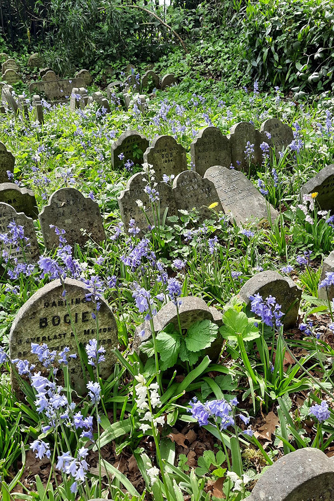 The pet cemetery, Hyde Park