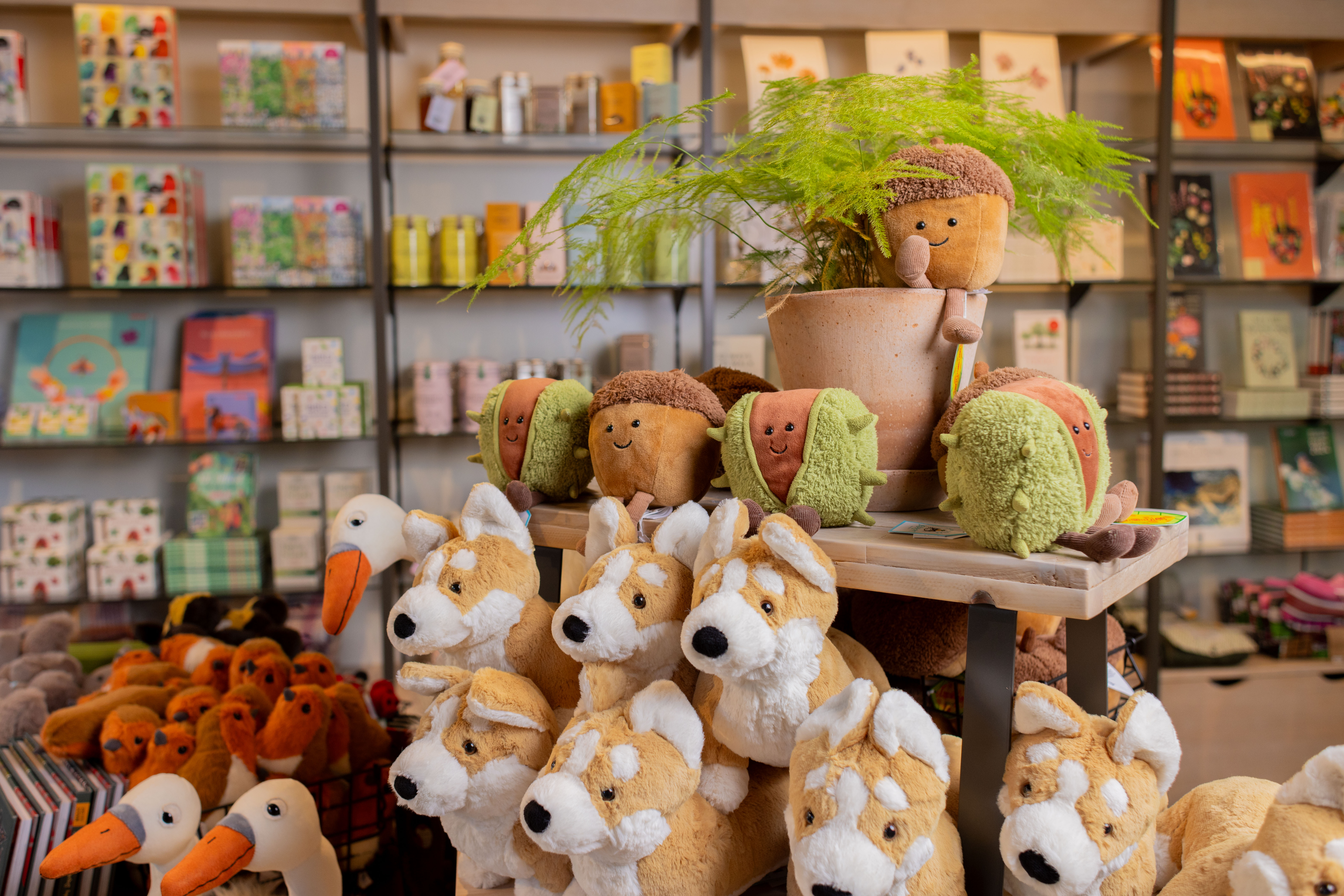 A shop display with piles of soft toy acorns, corgis, swans and robins
