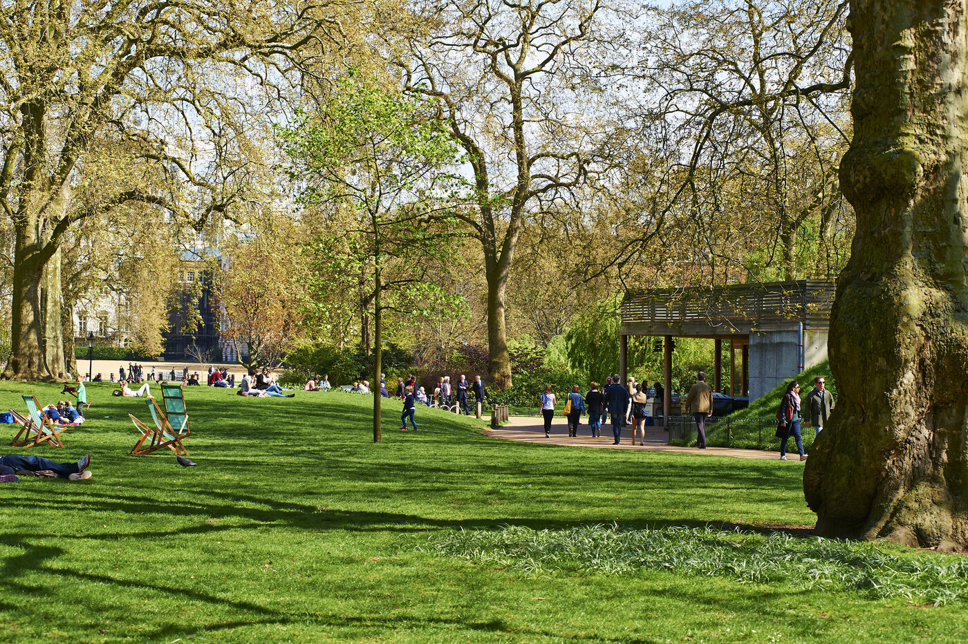 Deck chairs in The Royal Parks