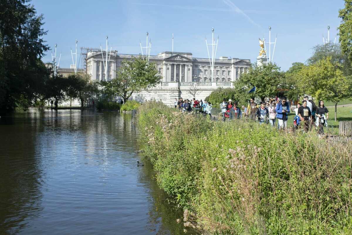 View of Buckingham Palace from St. James's Park