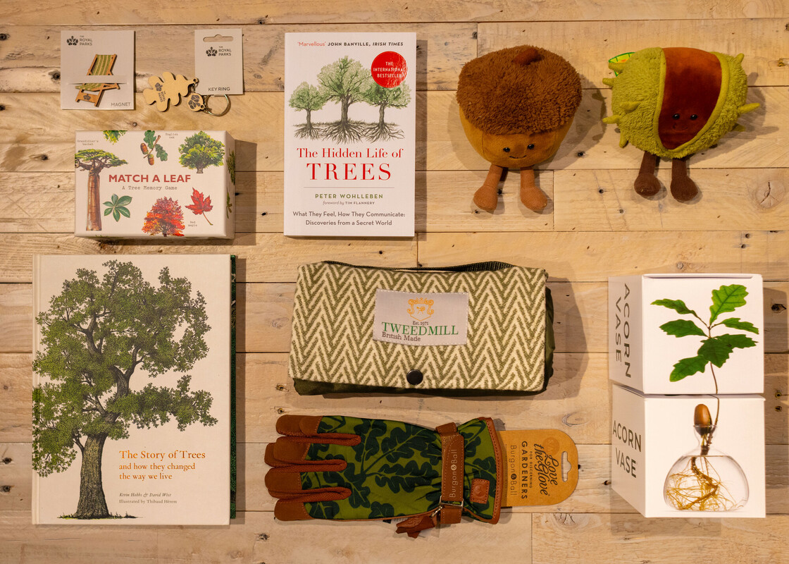 A flat lay of tree-related products including books, soft toys, games and an acorn vase on display against a wooden backdrop. 