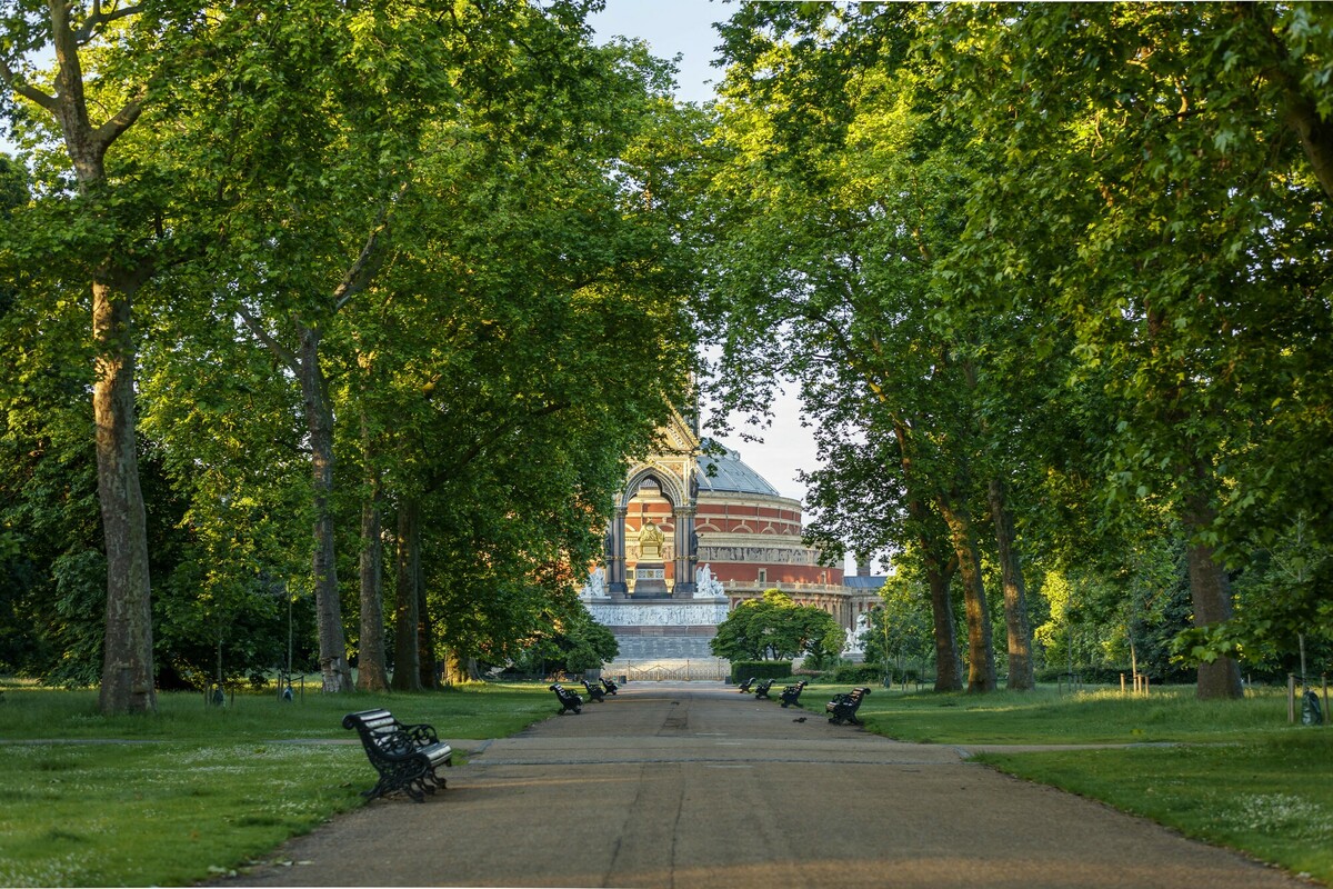 Trees in Kensington Gardens