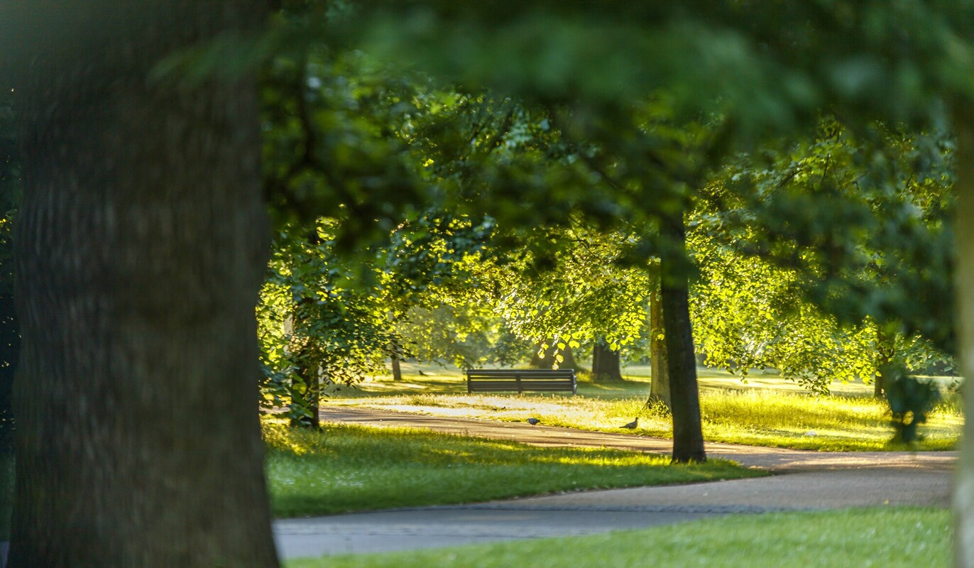 Sunrise in Kensington Gardens