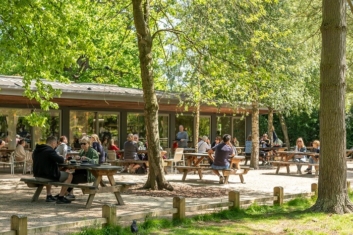 Pheasantry Café in Bushy Park