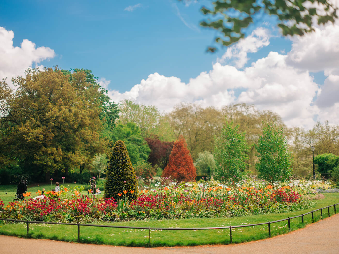The Rose Garden in spring