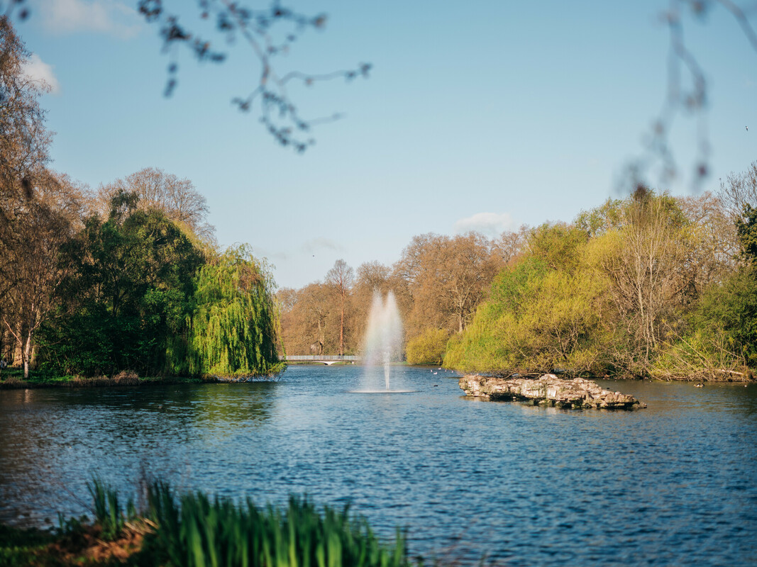 duck island in St James's Park