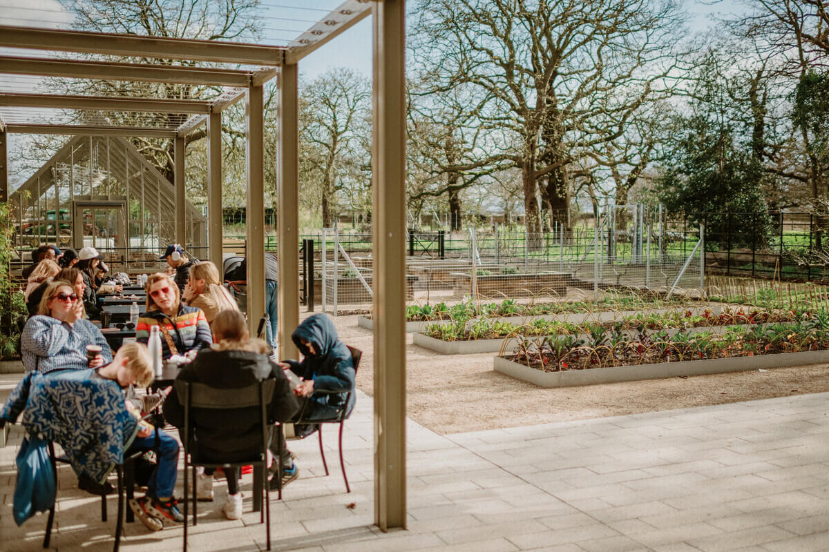 Diners under a pergola outside the Ignatius Sancho Café