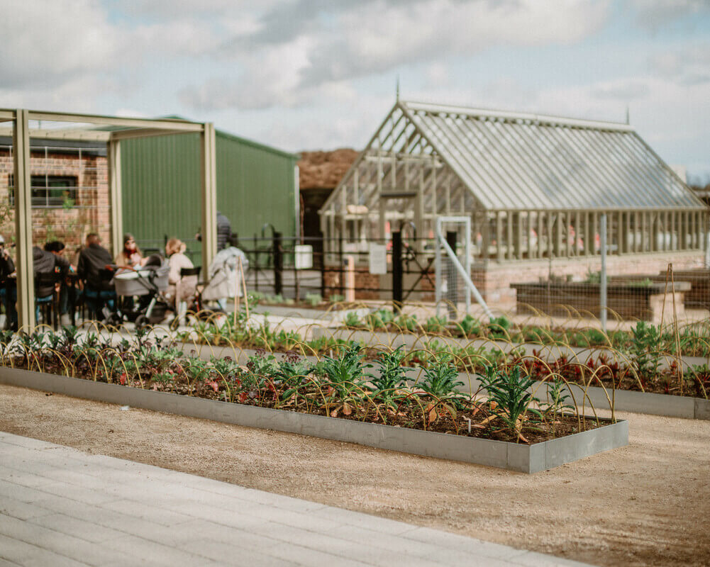 Community vegetable beds and greenhouse by the Ignatius Sancho Café.