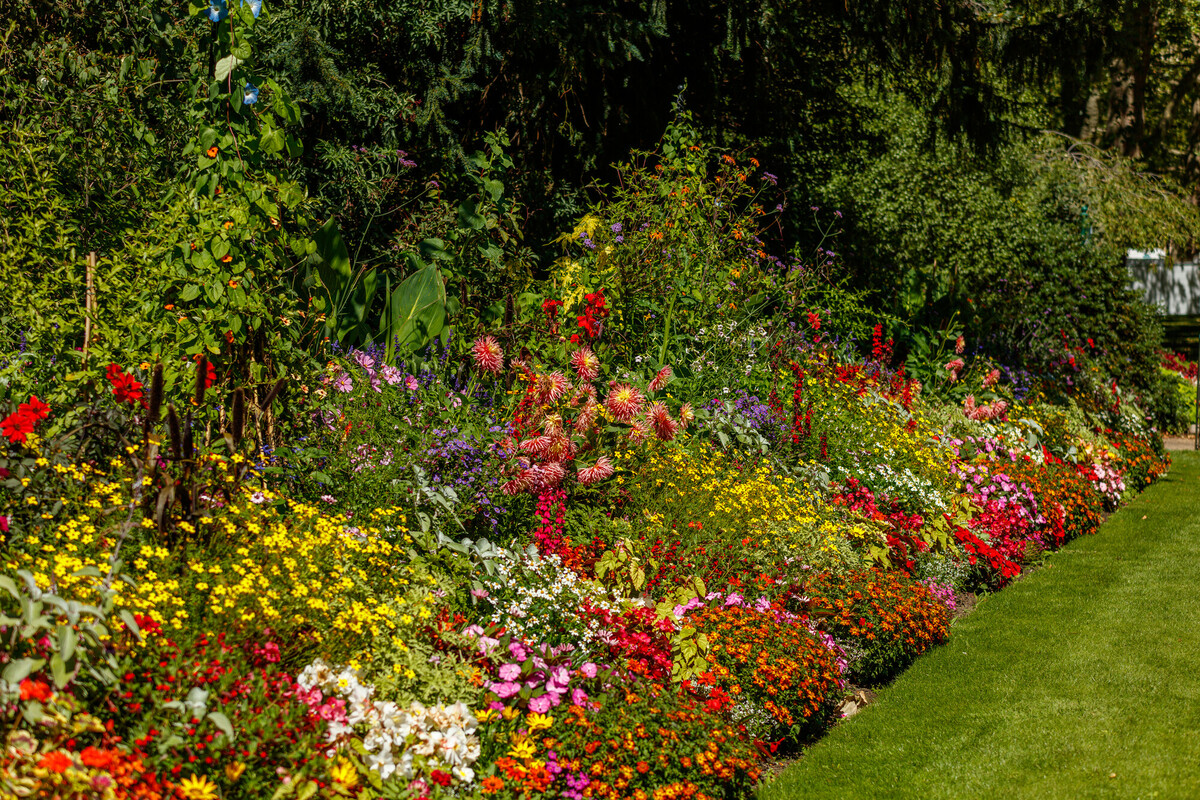 St James's Park summer bedding