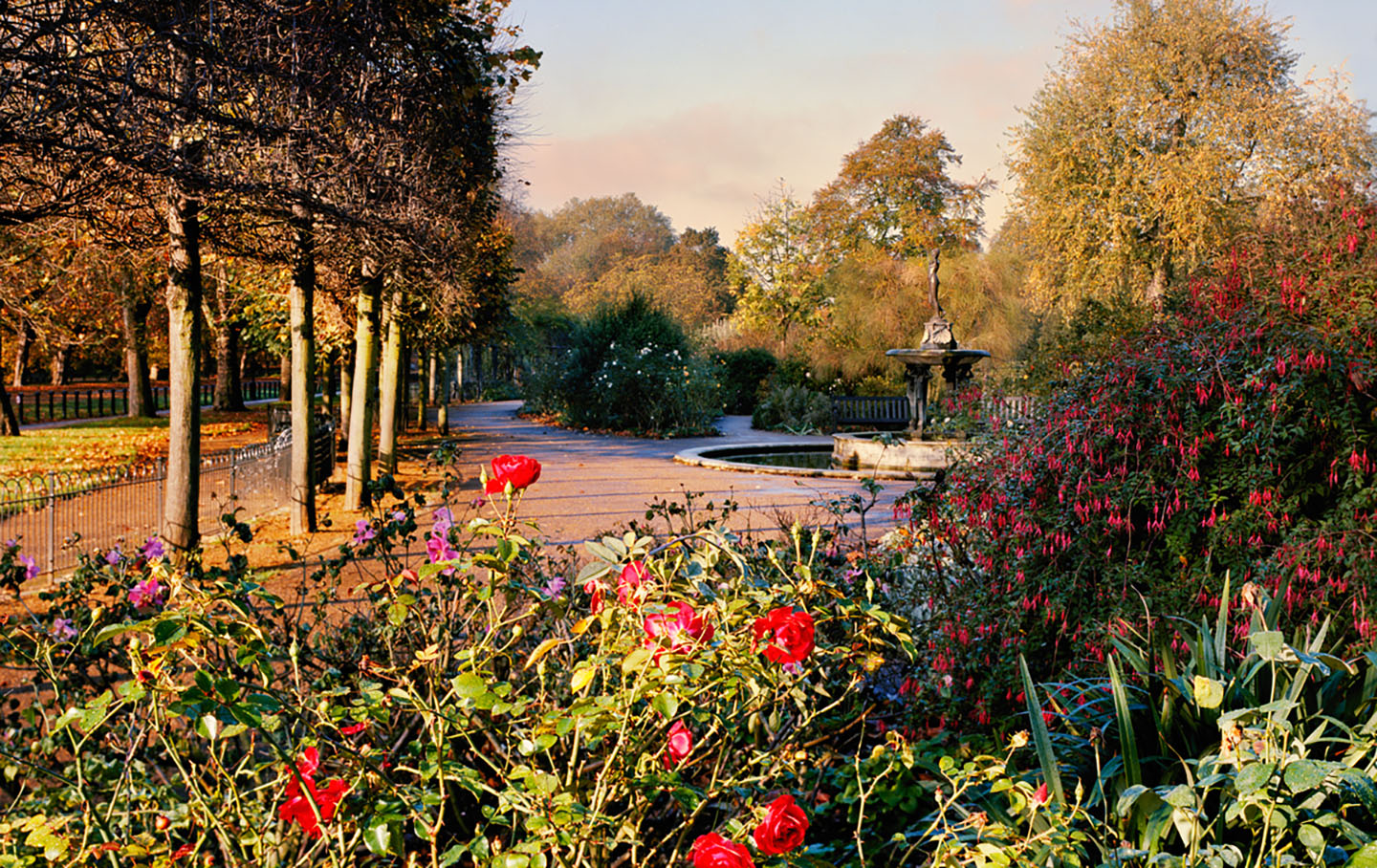 The Rose Garden in Hyde Park