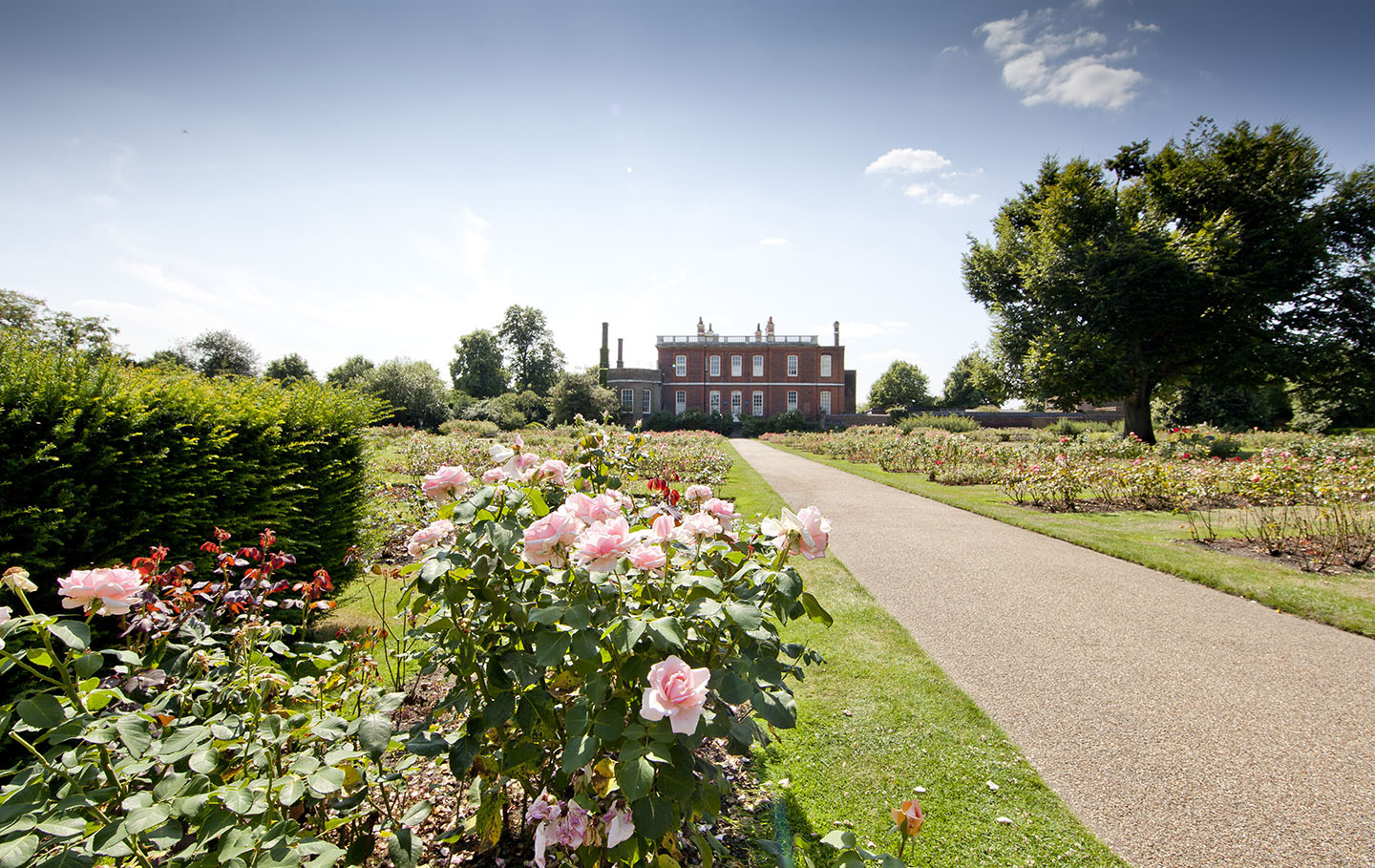 Path through the Rose Garden