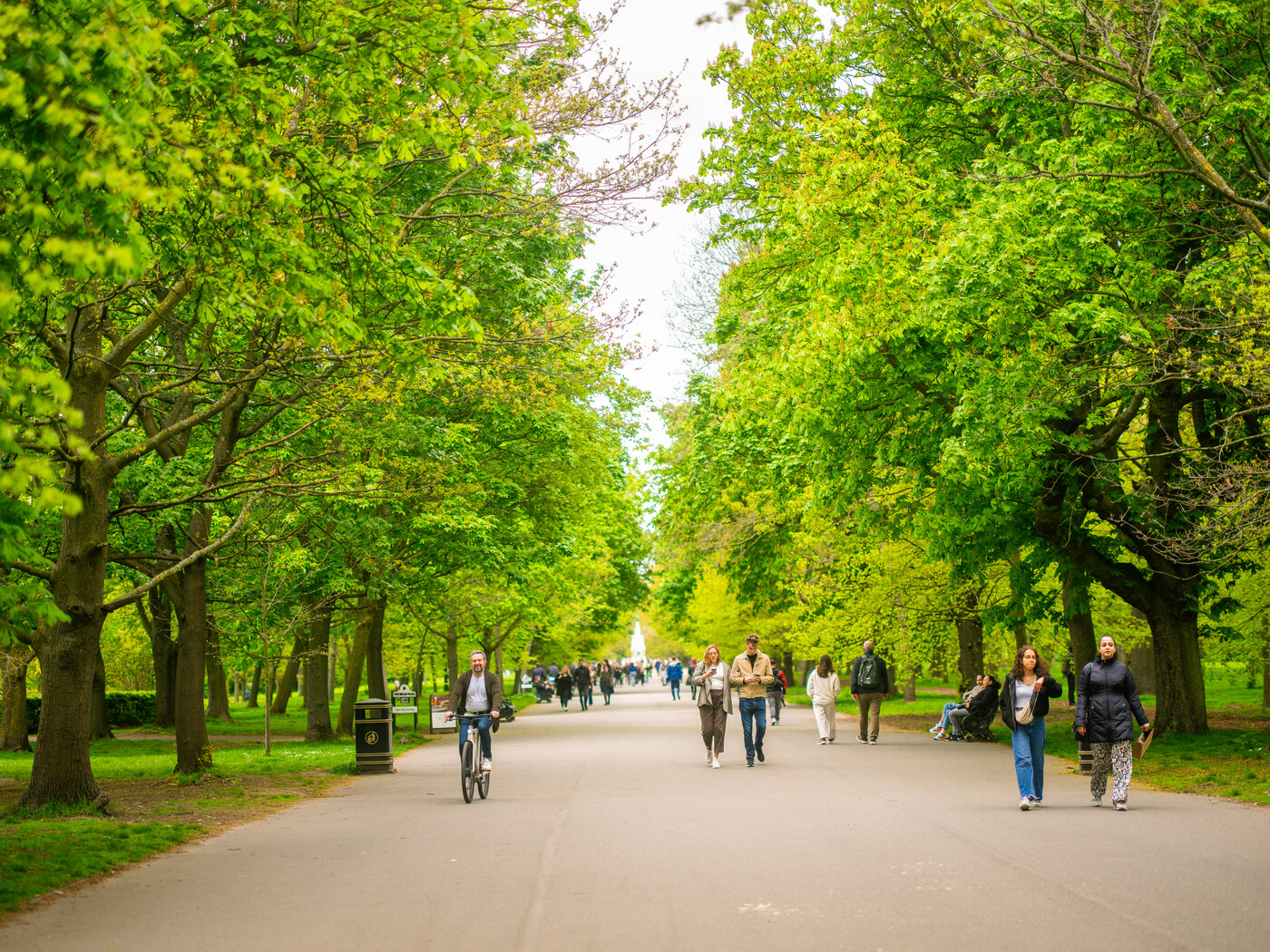 Trees with fresh green spring growth, people walking along the broad walk