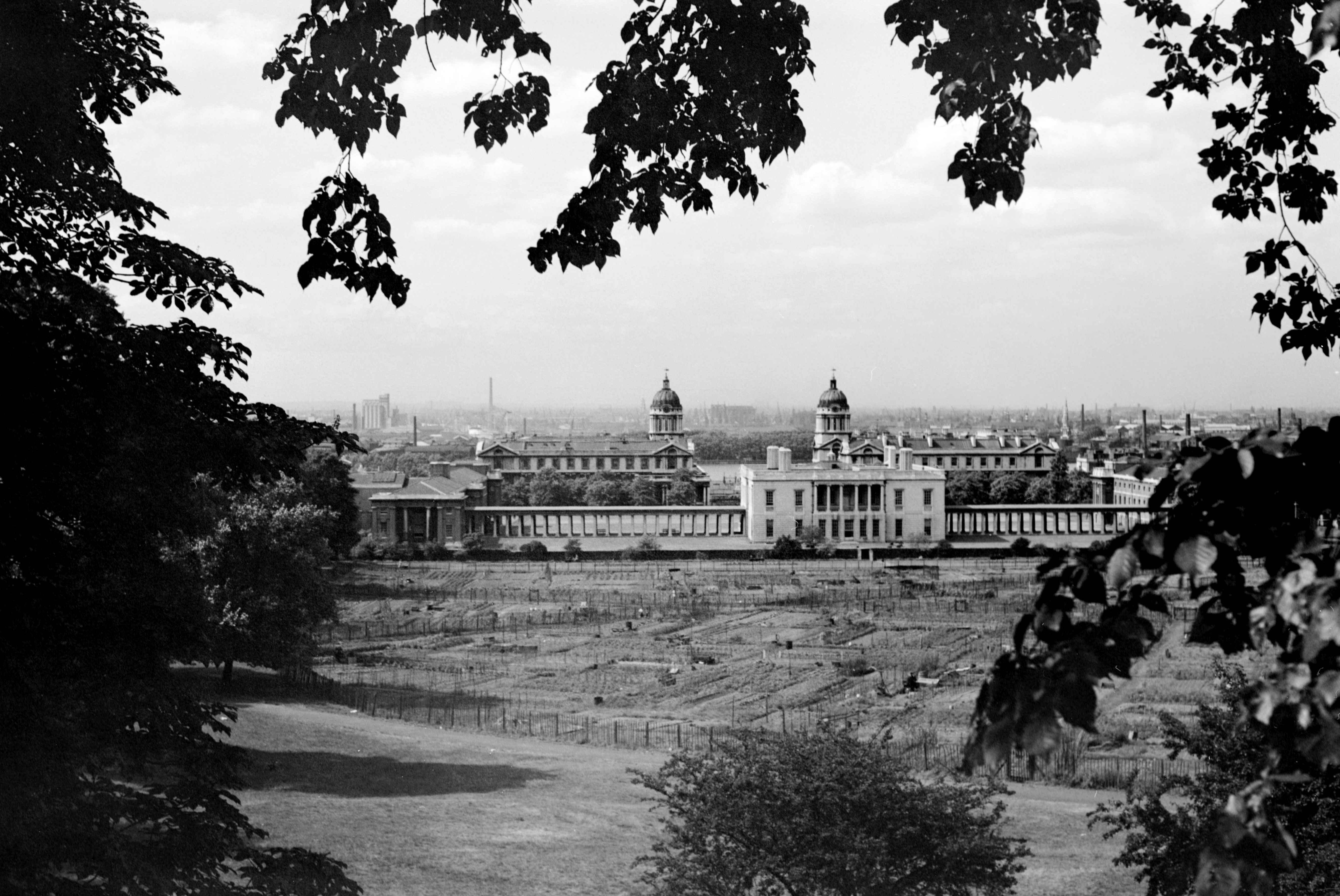 Wartime allotments cover the Queen’s Field in Greenwich Park, c. 1945
