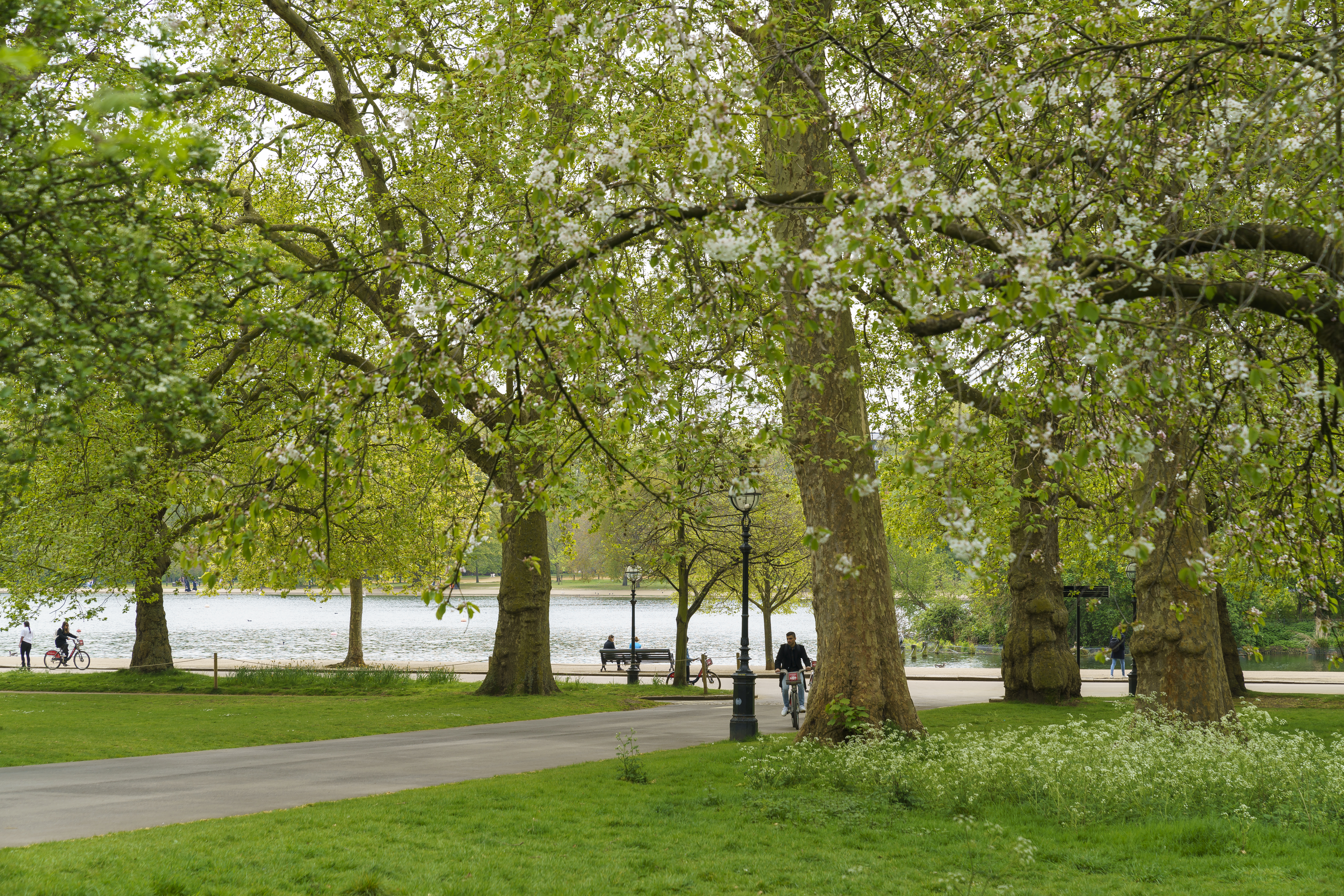 Image of a green park with a pathway in the middle, and a water body in the distance.