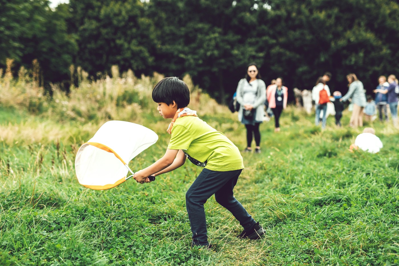 Boy using a sweep net to search for insects in the meadow