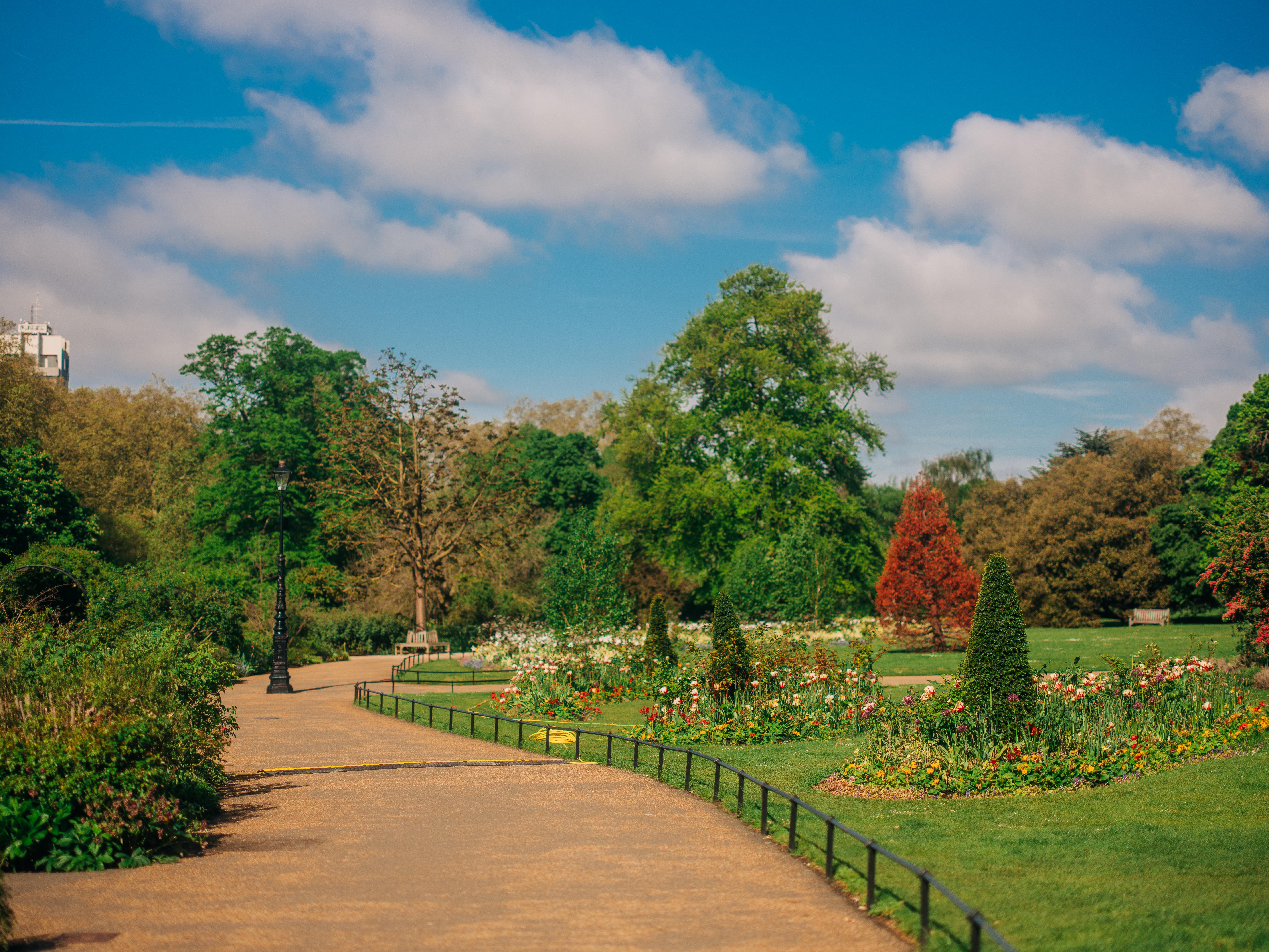 Image of trees and a garden landscape with a pathway on the left