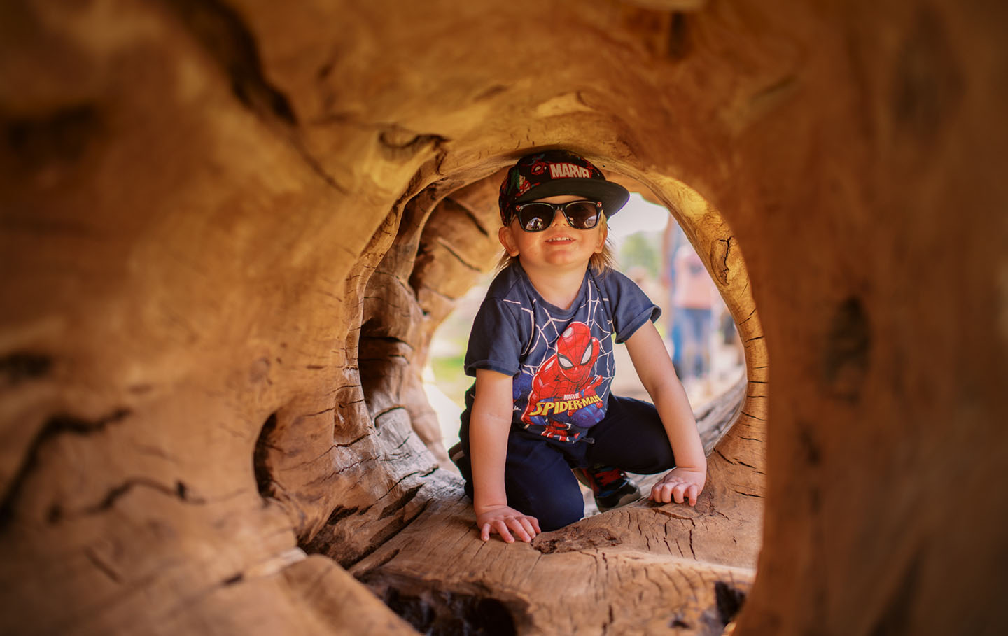 A young boy in sunglasses crawls through a hollow log