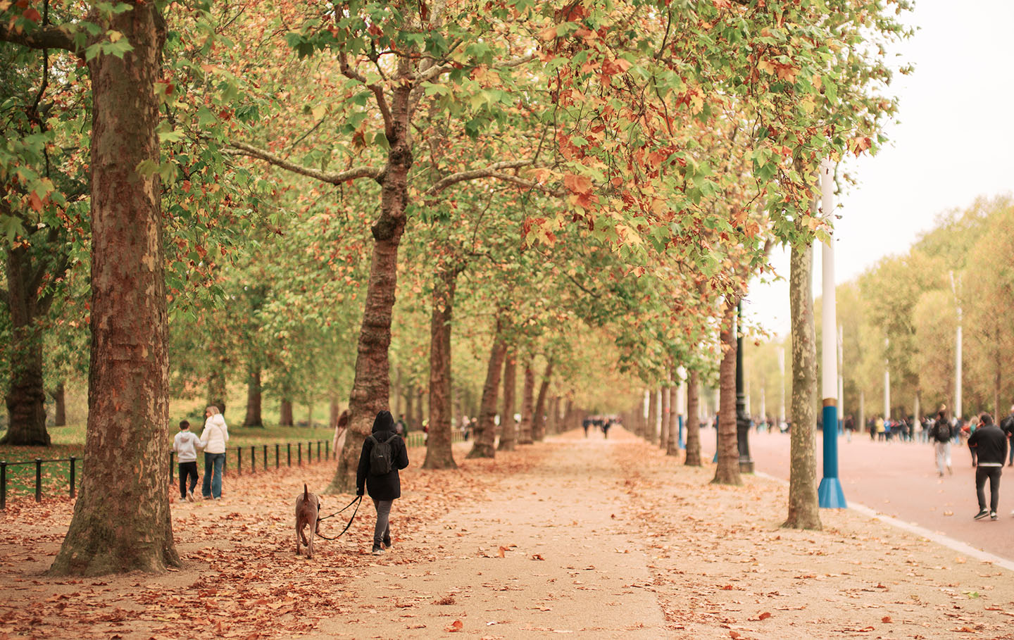 Autumnal view down the tree-lined Mall