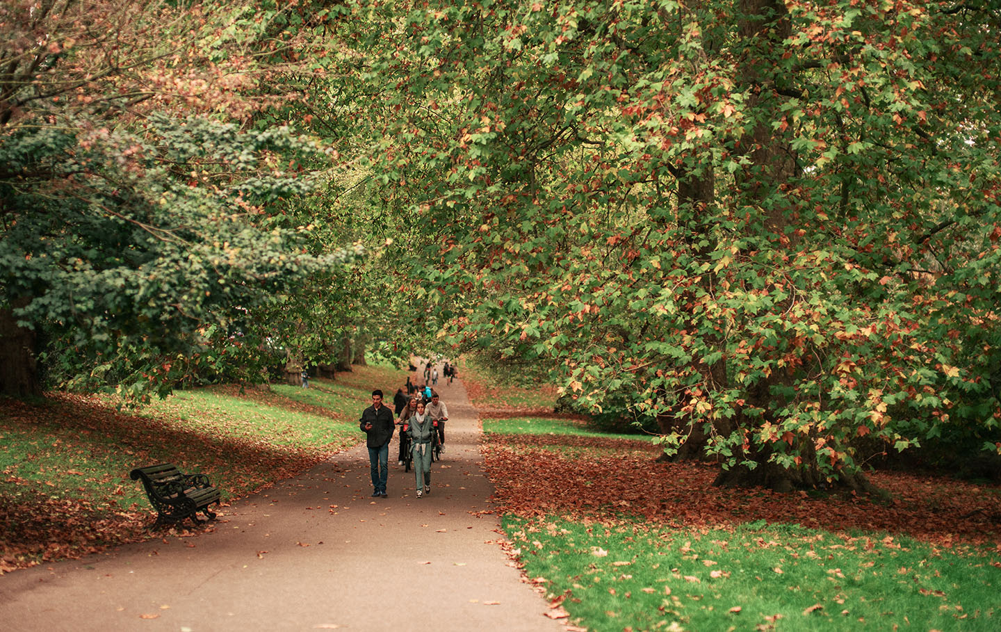 Walking among autumn leaves