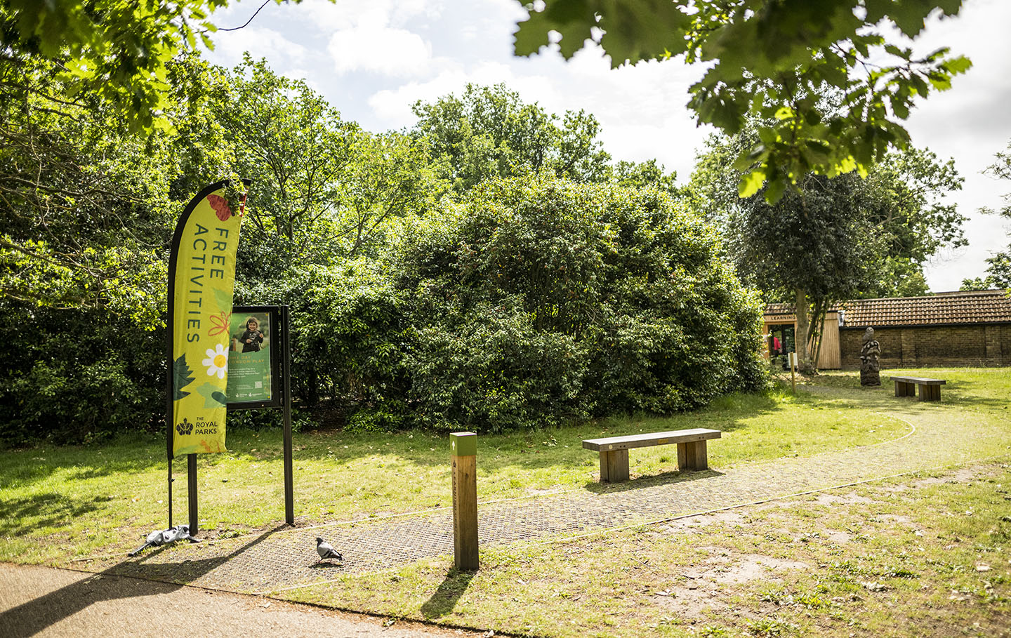Bench and path leading to the learning centre