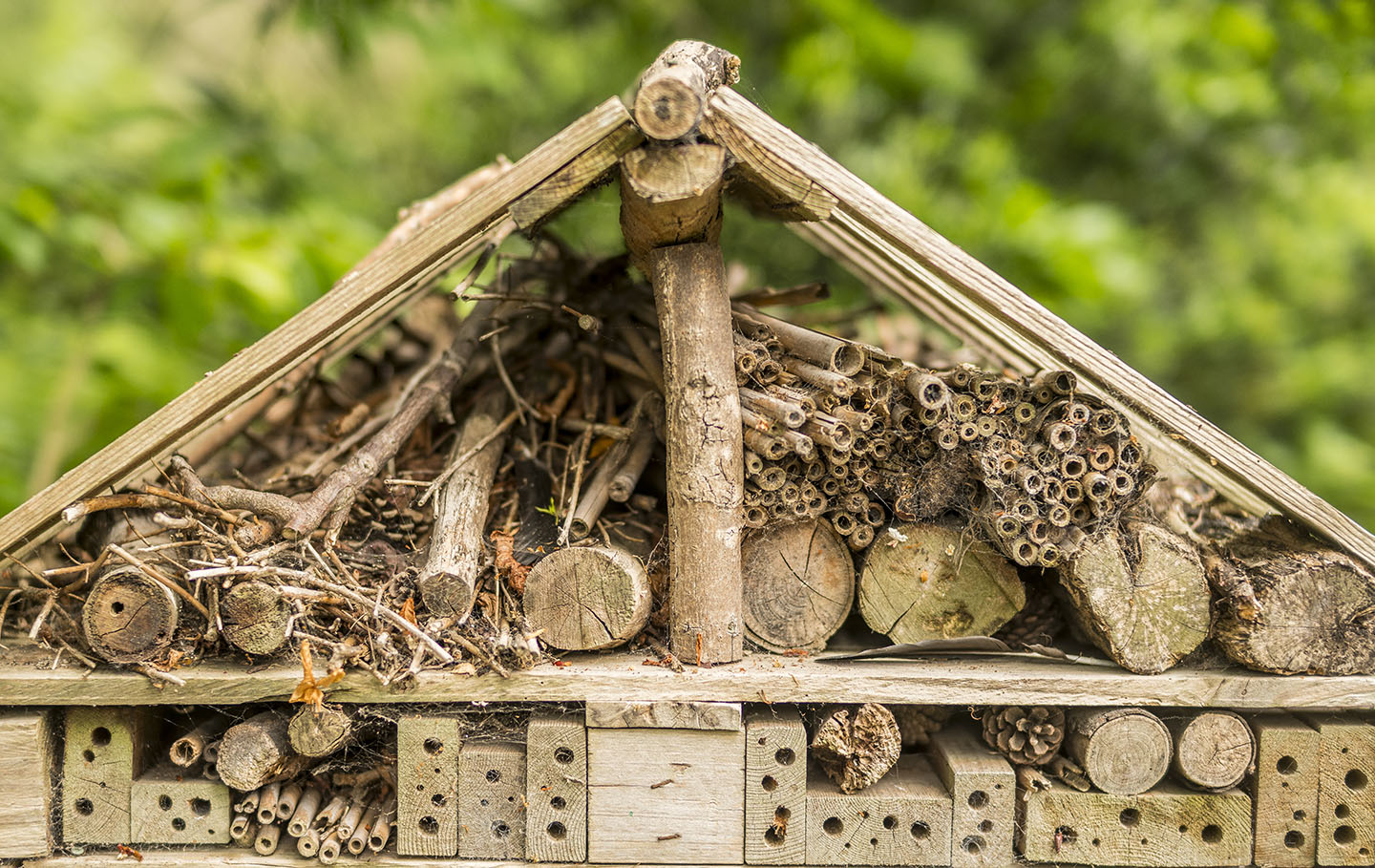 Giant bug hotel