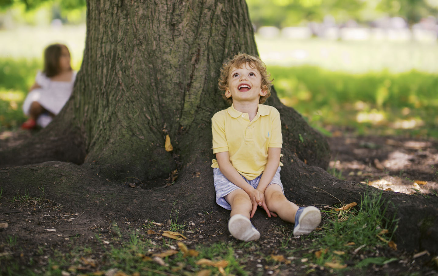 Young boy sitting under a tree, looking up in wonder