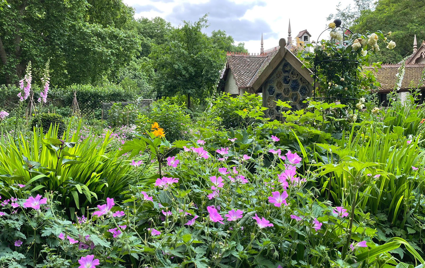 Pink geraniums, foxgloves (Digitalis purpurea) and other wildflowers at Duck Island