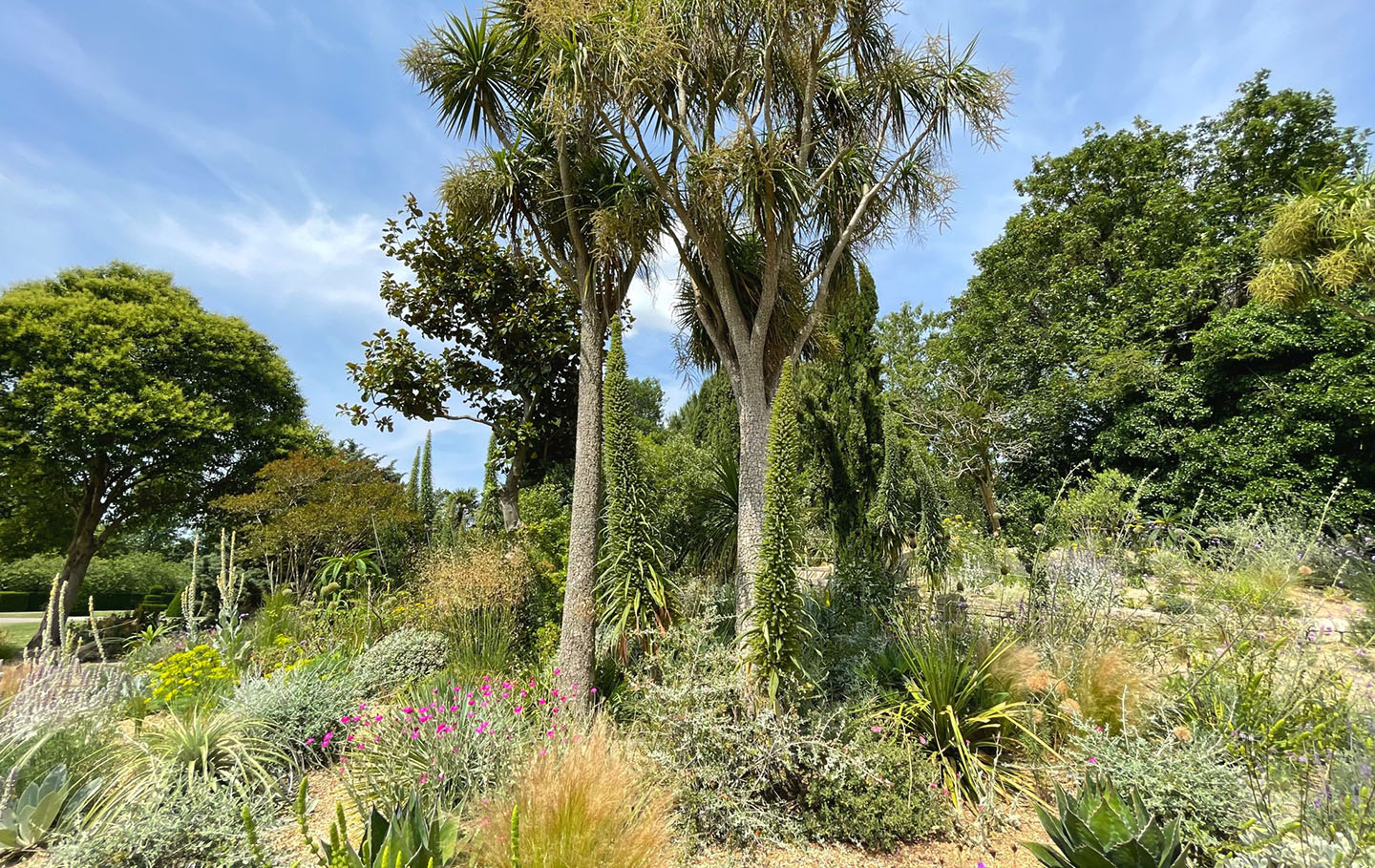 Climate resilient planting
