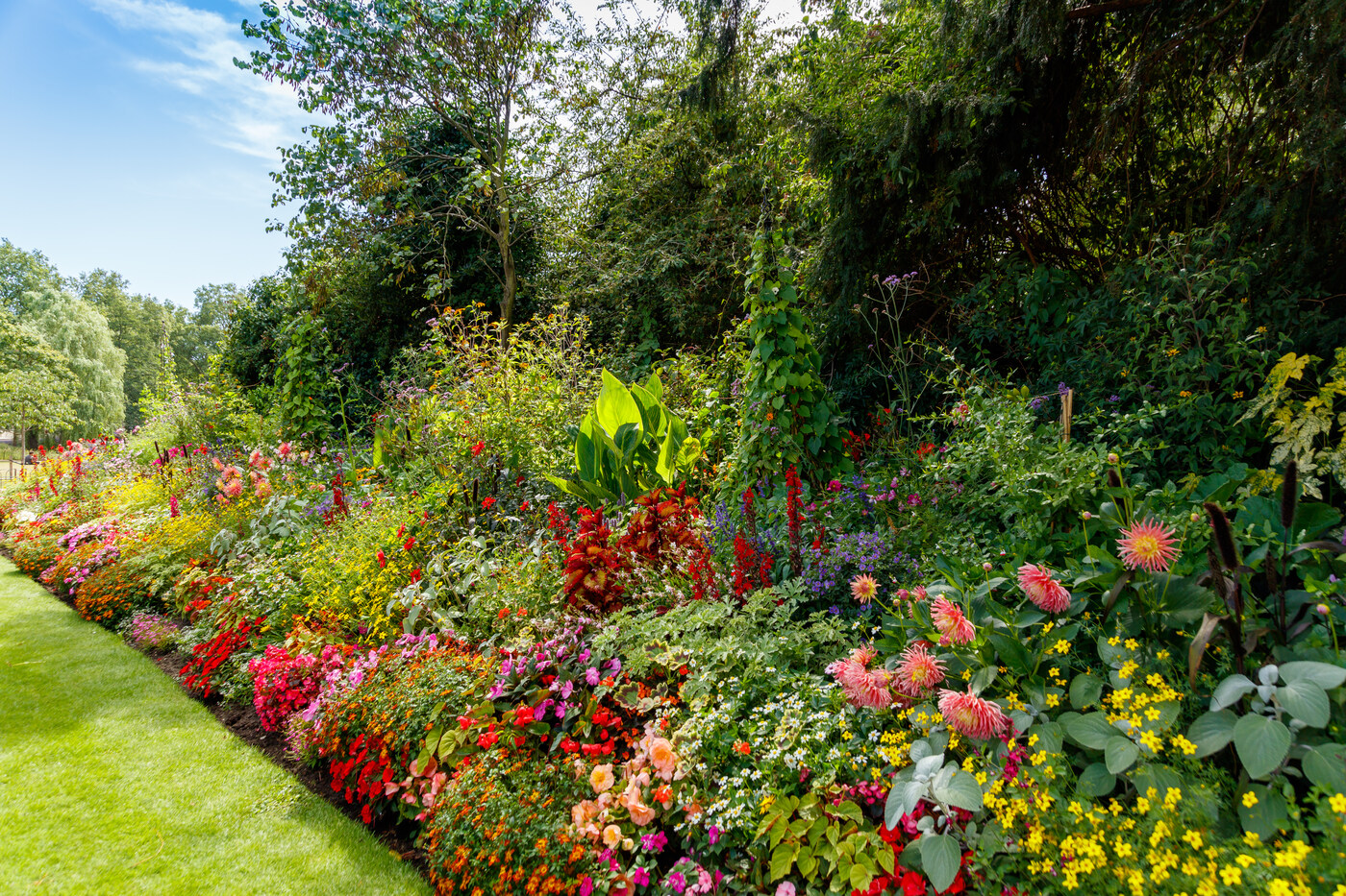 Summer bedding in St. James's Park